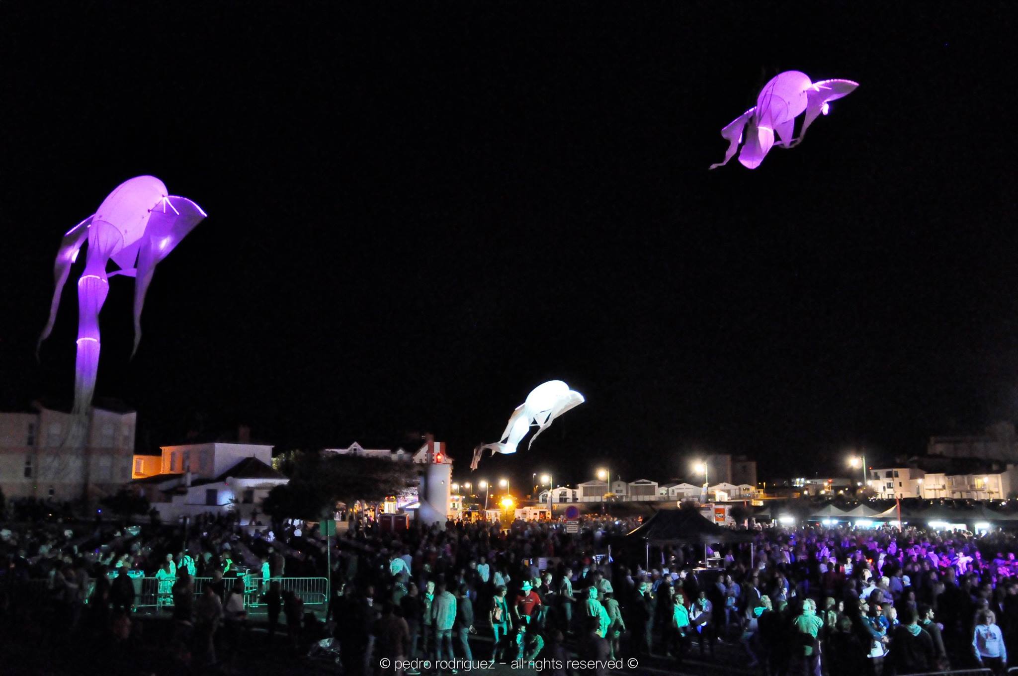 lumineol cerf volant porté par le vent évènement nuit