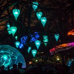 Jardin d’hier – Fête des lumières – Lyon6