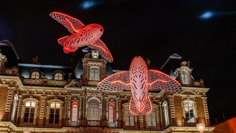 EPERNAY---Habits-de-lumière_Pikooks-Luminéole---Porté-par-le-Vent_25