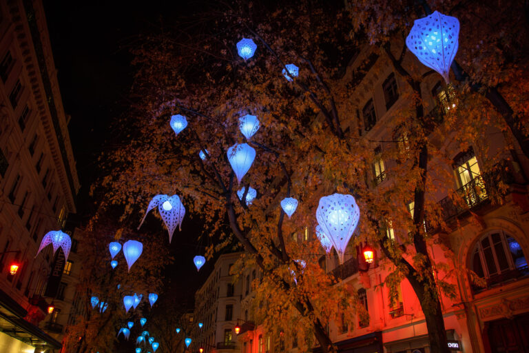 LYON - Fête des lumières 2018_ Amours en cage - Porté par le Vent_16