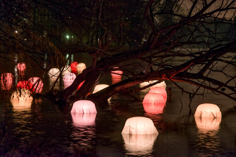 WaterLens_ Fete Lumiere Lyon_1 meneo