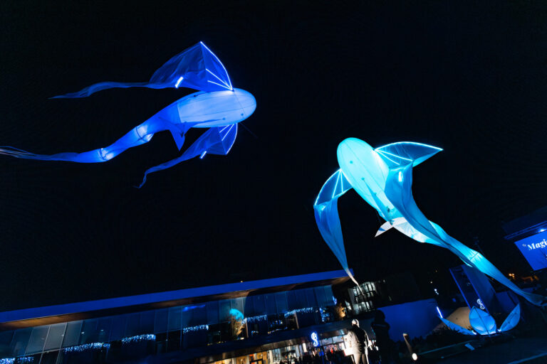 Spectacle Magique - Parvis du MiX