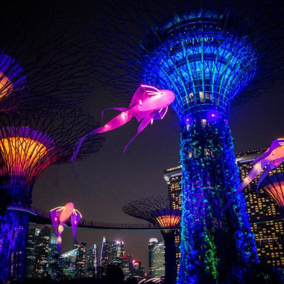 Luminéoles - Porté par le Vent _ Festival Voilah singapour 12983991_1190735770956926_3234094620274835839_o (2)_000